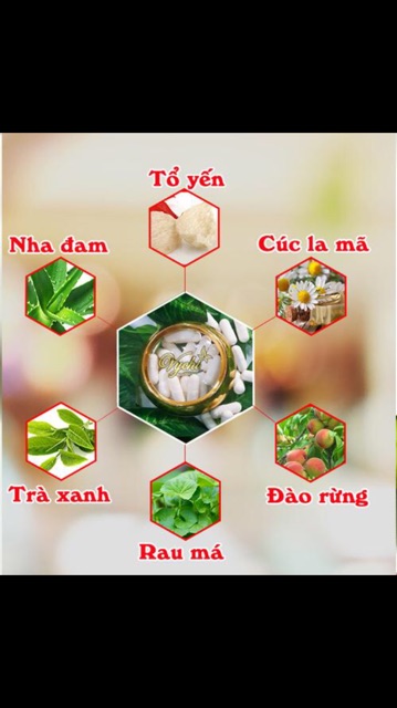 Mặt nạ yến VYCHI