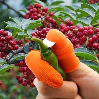 [Hàng mới] Dụng Cụ Bấm Hoa Quả , Nhặt Rau