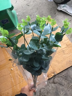 Lá hồng và cỏ điểm