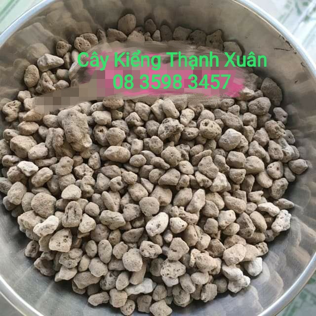 Đá Pumice giúp đất thoát nước tốt, thích hợp trồng sen đá, Xương rồng, Địa Lan, Phong Lan (Bịch 500 gam) size 5-8mm