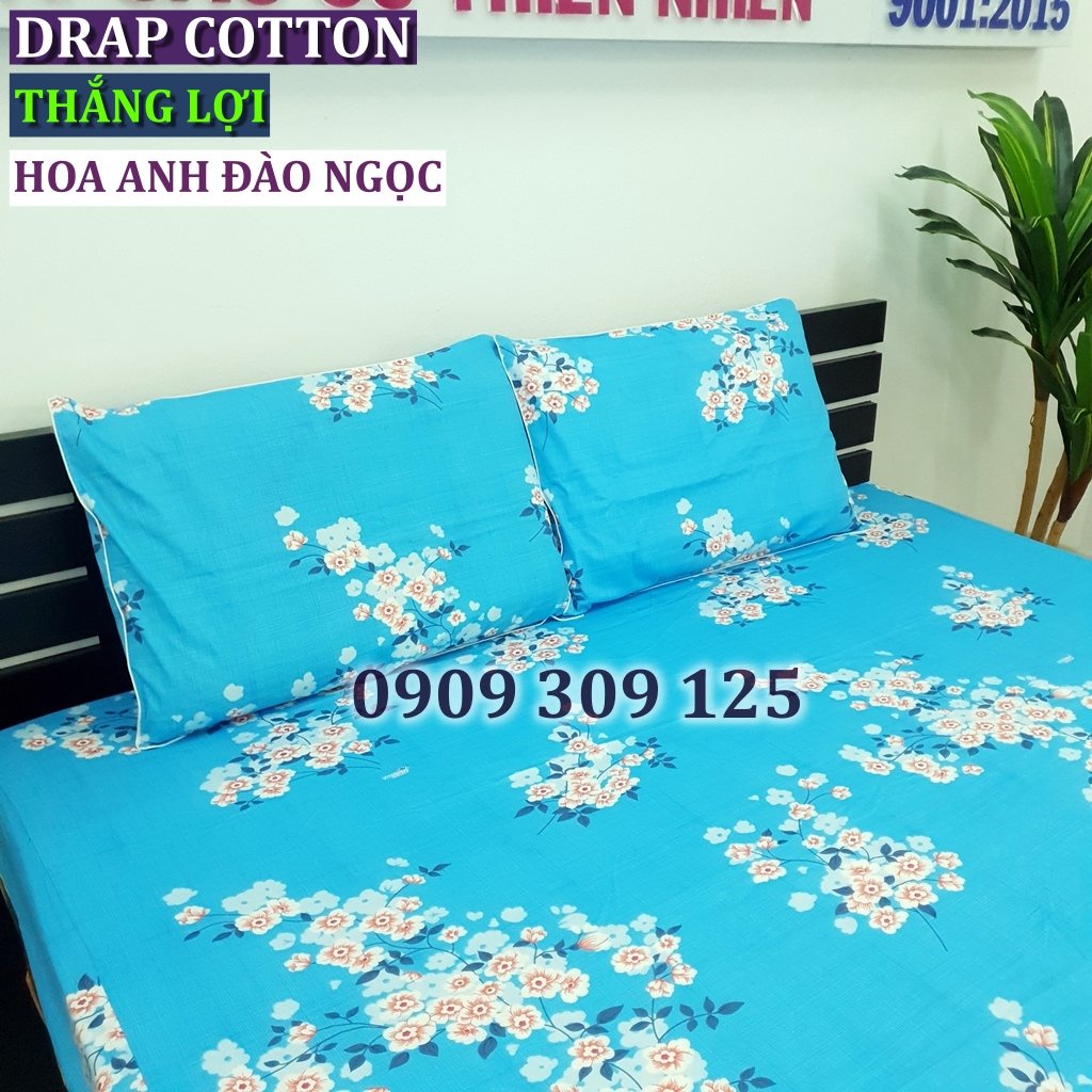 bộ ga cotton Thắng lợi chính hãng ( 4 món) IN LOGO THẮNG LỢI màu HOA ANH ĐÀO NGỌC