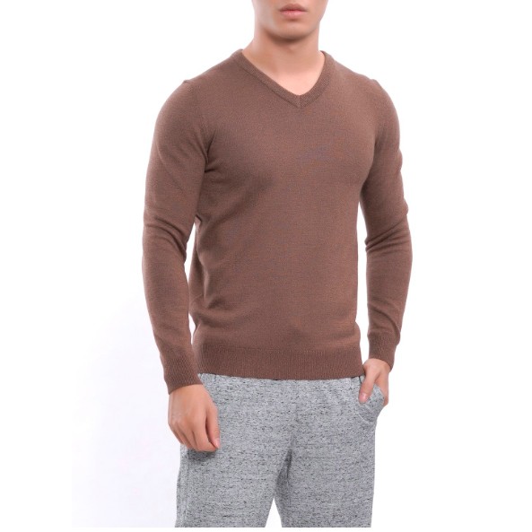 (Giảm sốc 650k còn 425k) Áo len Aristino màu nâu tây