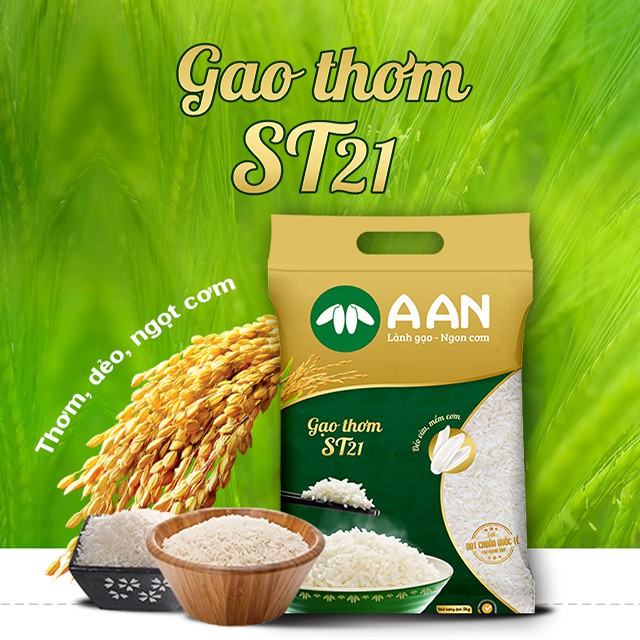 Gạo Thơm ST21 A AN Túi 5Kg Đặc sản Sóc Trăng Thơm hoa lài nhẹ - date mới 100%