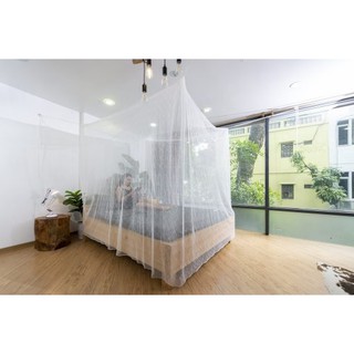 Màn tuyn cty dệt 10/10
