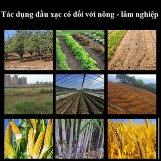 Đầu xạc cỏ cánh chéo dùng để xới đất, làm cỏ