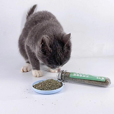 Catnip cỏ mèo bạc hà cho mèo ống 40gram - Homiespet