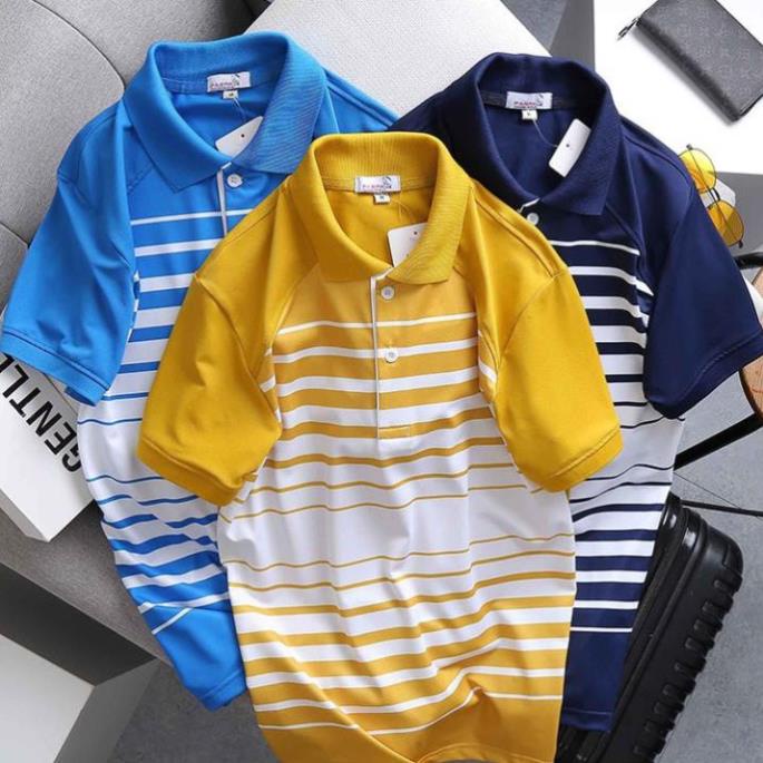 Áo Thun Nam Cổ Trụ Áo Phông Nam Cổ Bẻ Polo Papa In Sọc Cá Tính Chuẩn Shop
