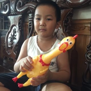 Gà trống cao su- gà a lử