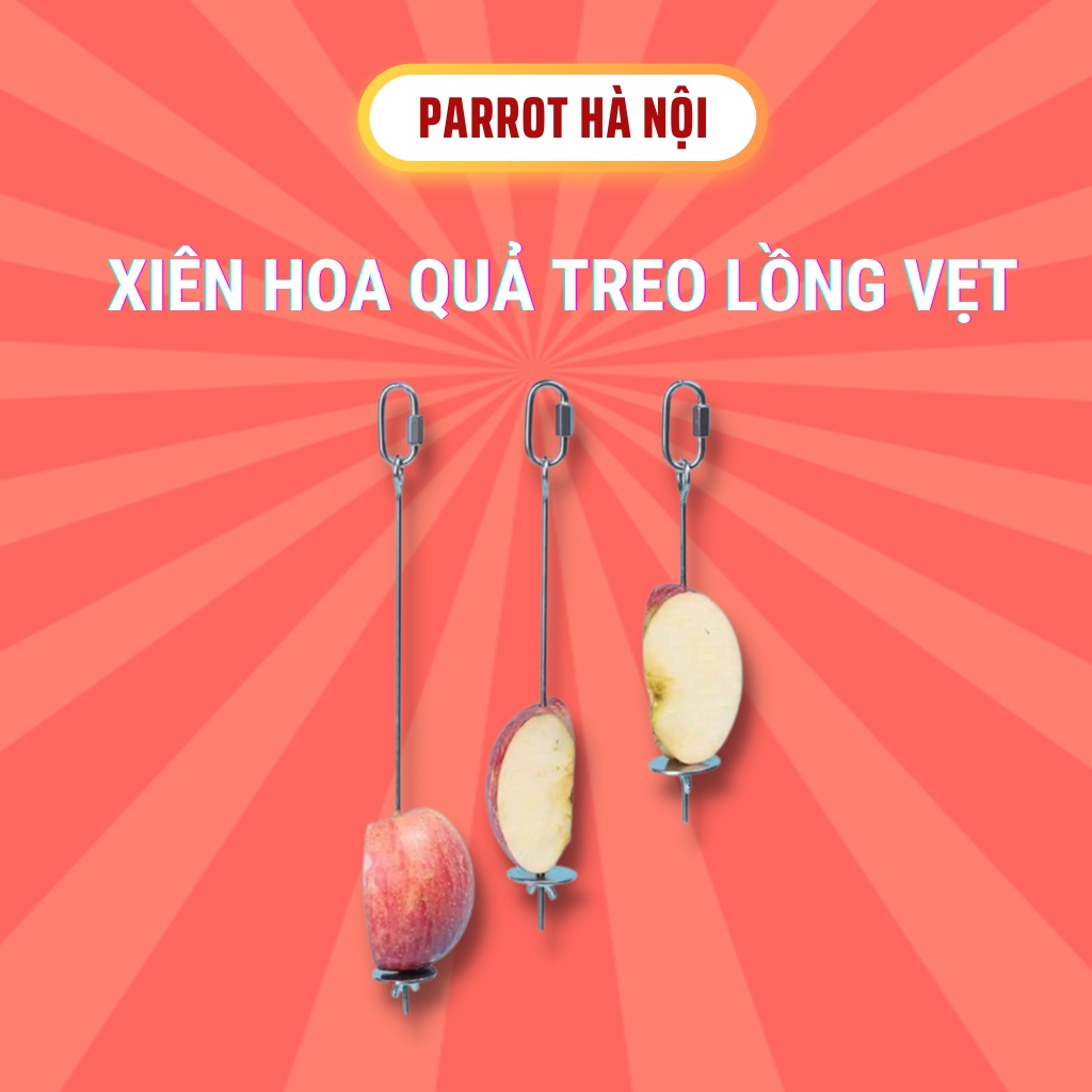 Xiên hoa quả treo lồng vẹt, chim, dụng cụ, phụ kiện cho thú cưng, chất liệu kim loại, an toàn