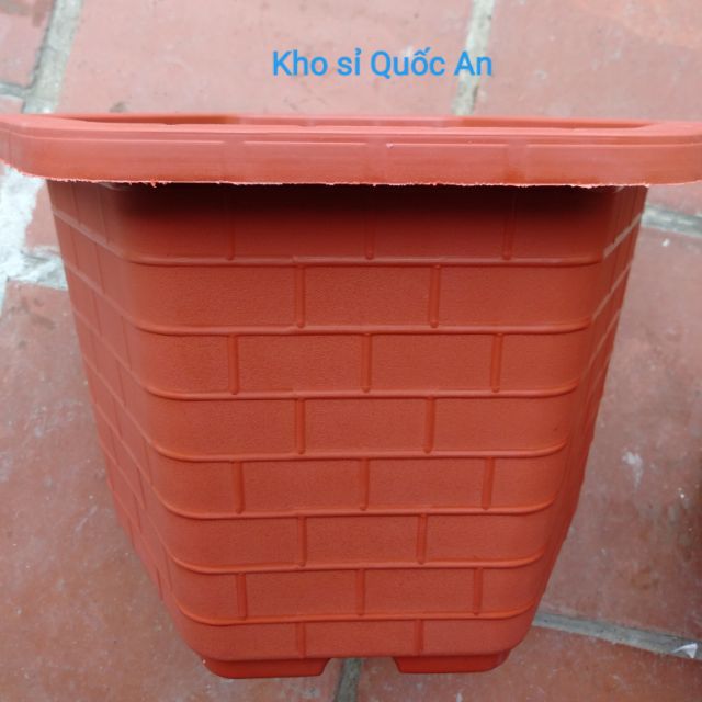 Chậu lục giác 30cm 5 cái