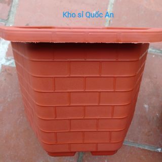 Chậu lục giác 30cm 5 cái