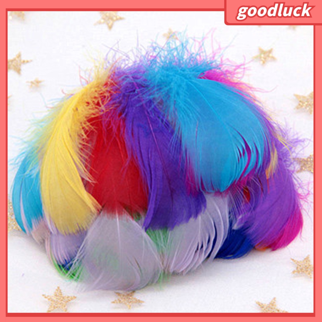 Bộ 100 Lông Vũ Nhiều Màu Sắc Dùng Trang Trí Thủ Công DIY