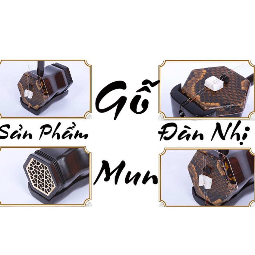 Đàn Nhị Gỗ Mun Chuyên Nghiệp