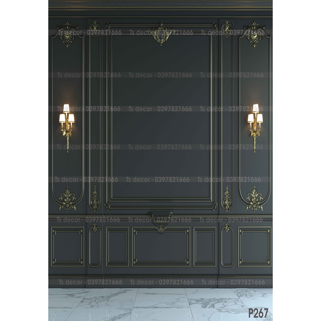 Phông nền  Livestream chụp ảnh 3D 5D cho các Studio