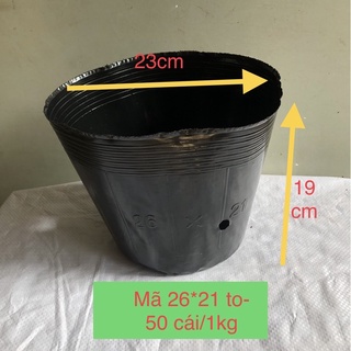 Bầu chậu mềm ươm hạt trồng cây mã26*21 to