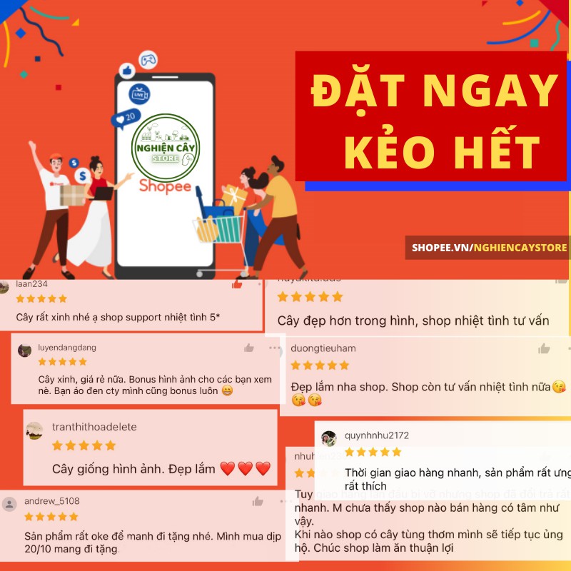 Chậu nhựa trồng cây Monrovia kèm đĩa lót hàng cao cấp cỡ 1 - 3 GAL