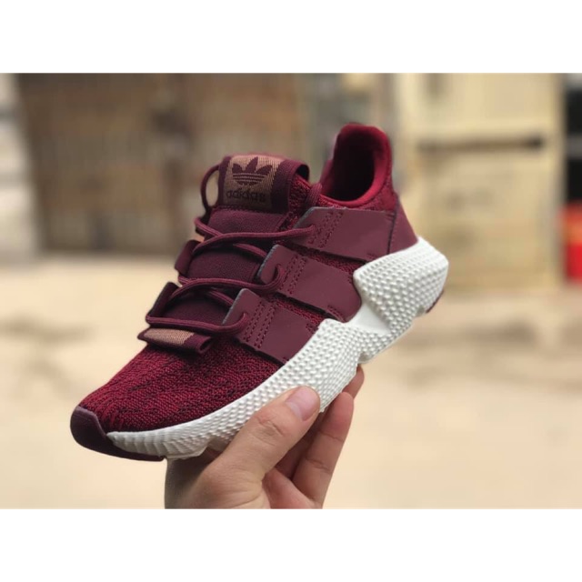 Prophere sf+