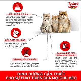 Thức ăn hạt Today's dinner 1kg cho Mèo mọi lứa tuổi
