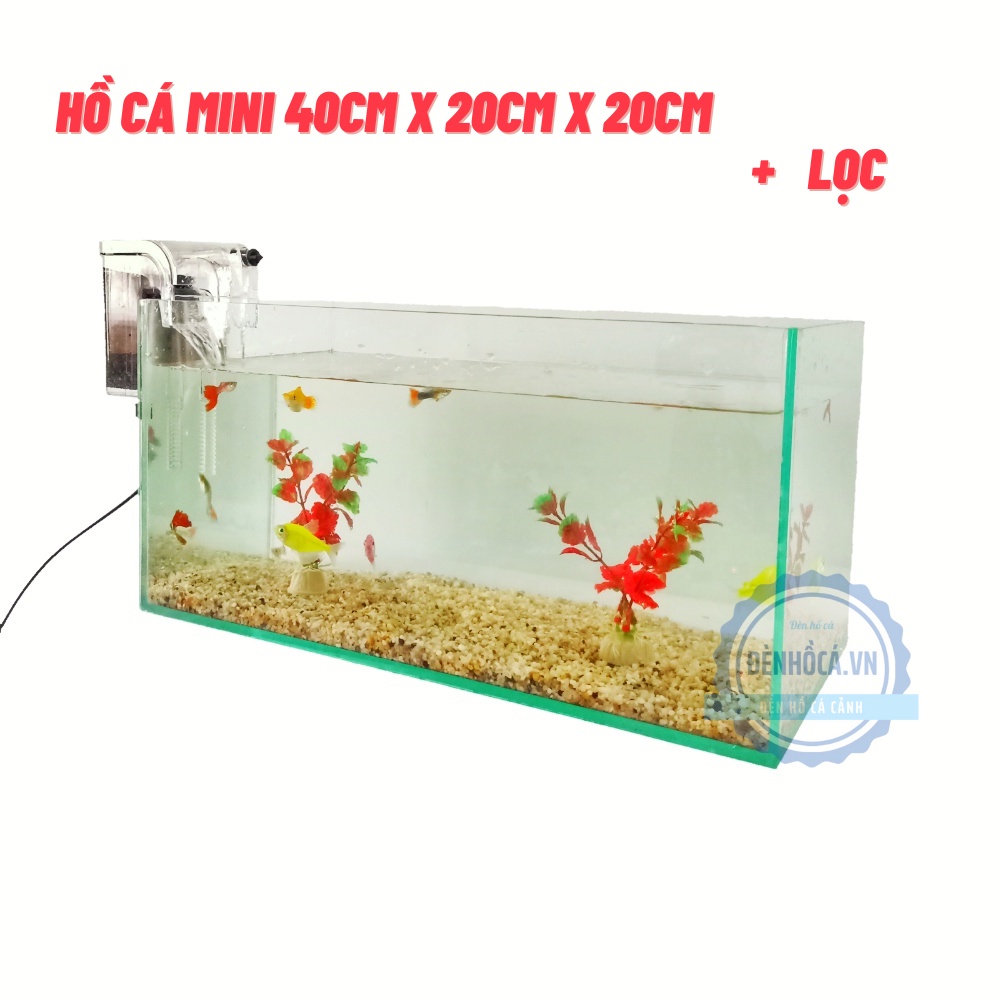 Bể cá mini D40cm x R20cm x C20cm tặng kèm phụ kiện