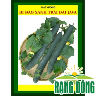Hạt giống bí đao xanh trái dài f1 java 0.2 gram - hạt giống chịu nhiệt