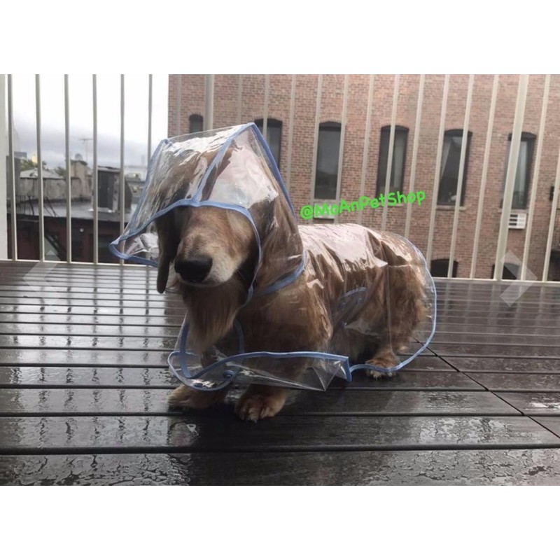 Áo mưa cho bé cưng đủ size