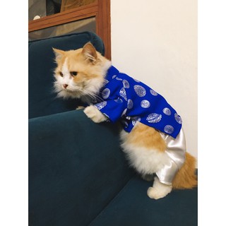 Áo dài Tết cho chó mèo