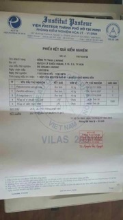 Kem ngày - đêm nhỏ Lavoine