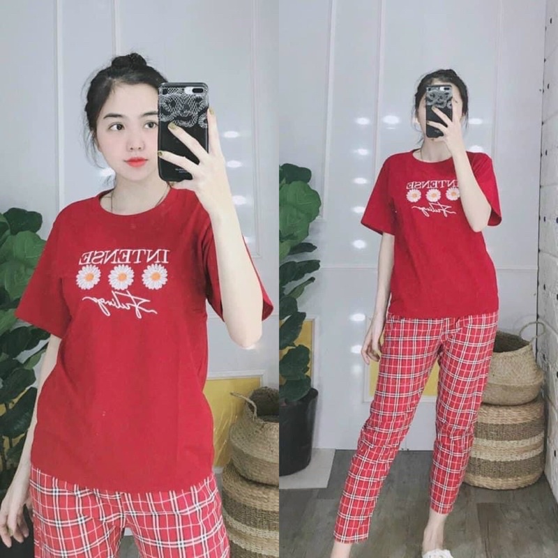 Đồ bộ nữ đồ bộ thun cotton mặc nhà đồ bộ bigsize đồ bộ nữ đẹp