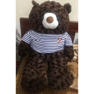 Gấu bông teddy 1m và m2