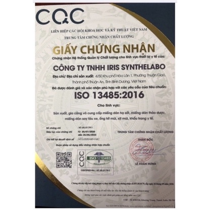Khẩu trang y tế 4 lớp kháng khuẩn Iris Pharma, quai to mềm không đau tai, nẹp mũi ôm khít chống mờ kính