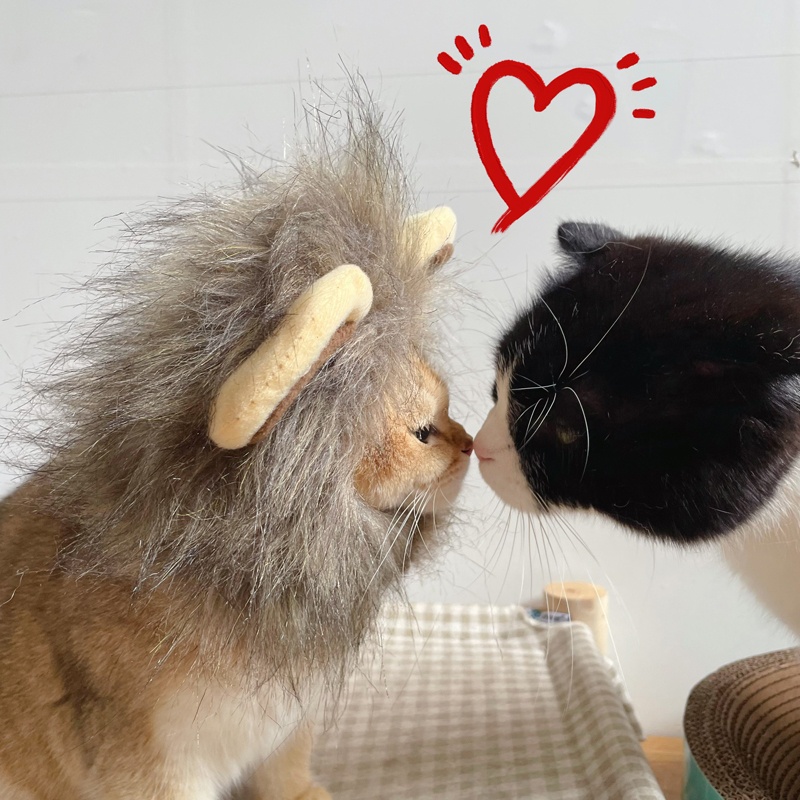 Bờm sư tử giả xinh xắn vui nhộn cho mèo sáng tạo dễ thương Tennessee052