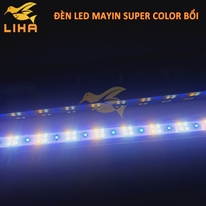 Đèn Led Super Color Bối Golden/Blue Kaokui (2 Chế Độ Màu) - Led Vàng Cho Cá Rồng
