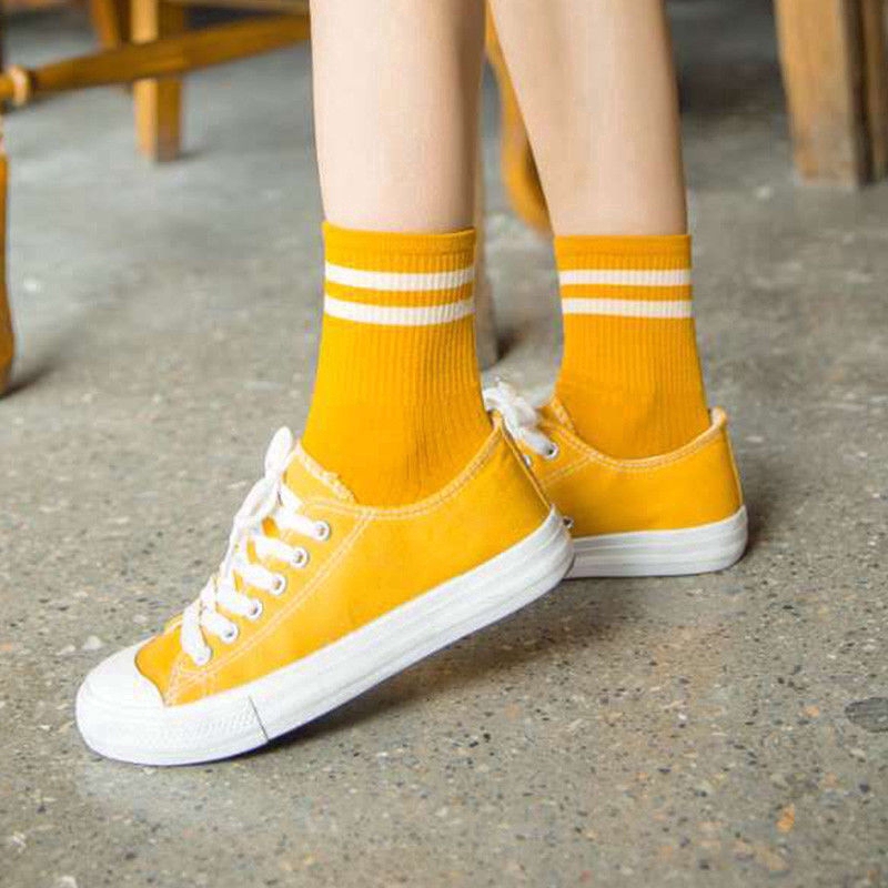 Vớ cotton màu trơn kẻ sọc phong cách cổ điển Hàn Quốc cho nữ