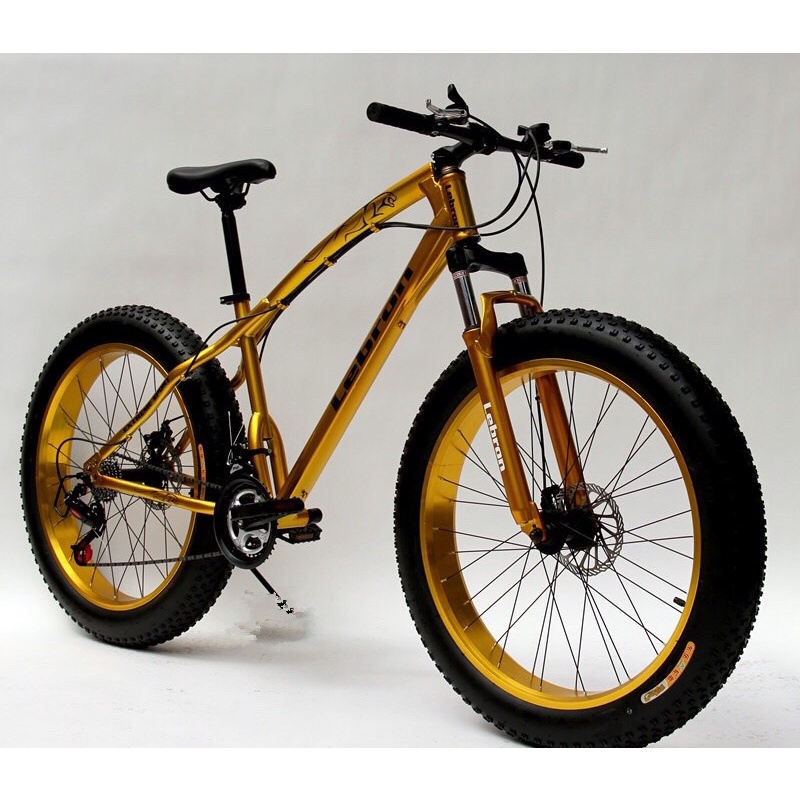 Xe đạp thể thao bánh béo Lebron, xe đạp thể thao leo núi