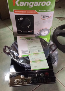 Bếp từ Kangaroo KG356H