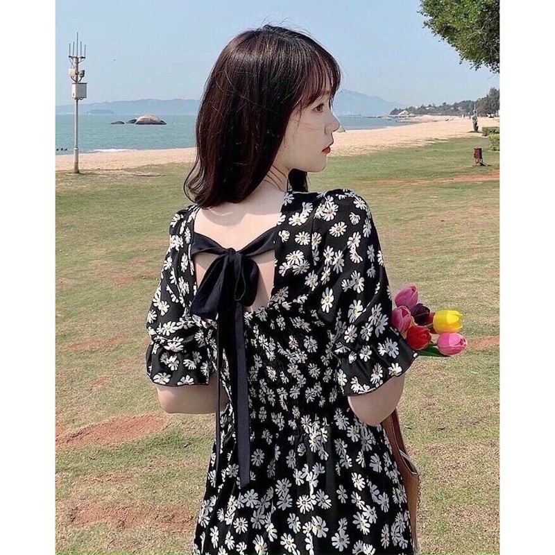 SET VÁY HOA CÚC CỔ VUÔNG | BigBuy360 - bigbuy360.vn