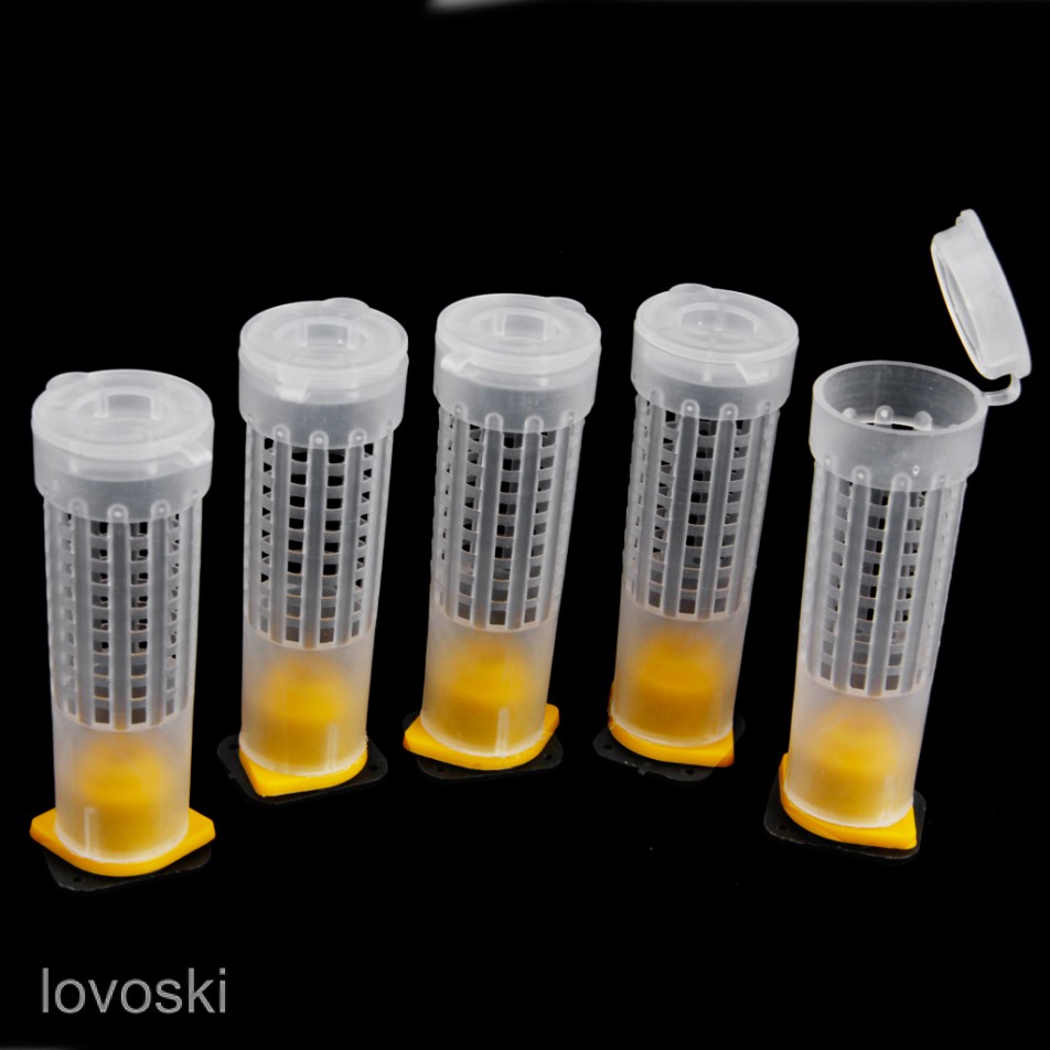 Set 5 lồng nuôi ong chúa tiện dụng