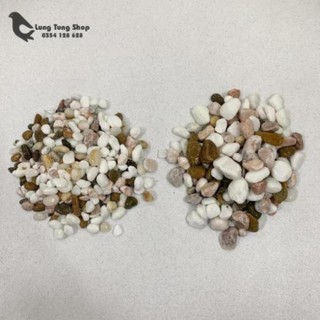 Đá sỏi hỗn hợp ( chọn size )