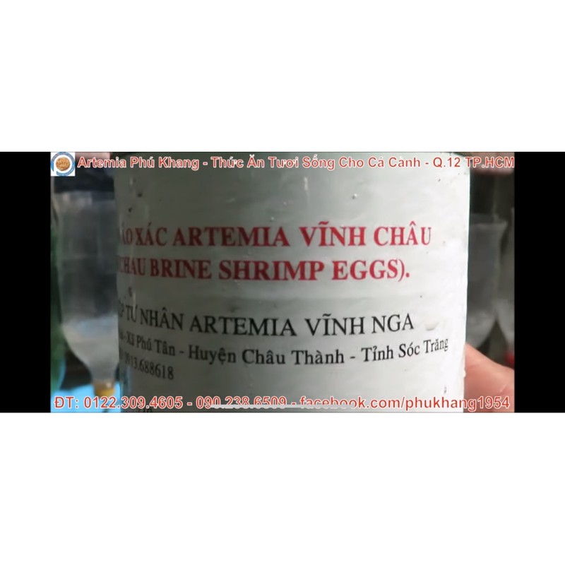 TRỨNG ARTEMIA VĨNH CHÂU. Thức ăn cá vàng, cá chép , betta, guppy ]