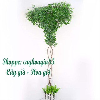 Quận Dây Leo Giả chiều dài 3m