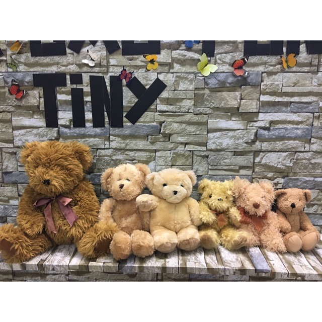 Set gấu bông nâu 6 con size 15-35cm