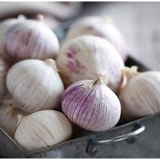 1kg tỏi cô đơn phan rang loại 1 đóng gói bởi cơ sở đồng tâm