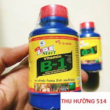 [Chính Hãng Thái Lan] Vitamin B1 (Lọ 100ML) Chuyên Kích Rễ-Đâm Chồi Cho Cây