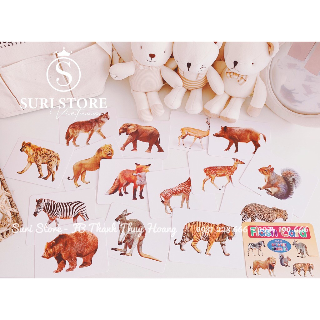 Thẻ học thông minh 18 chủ đề cho bé