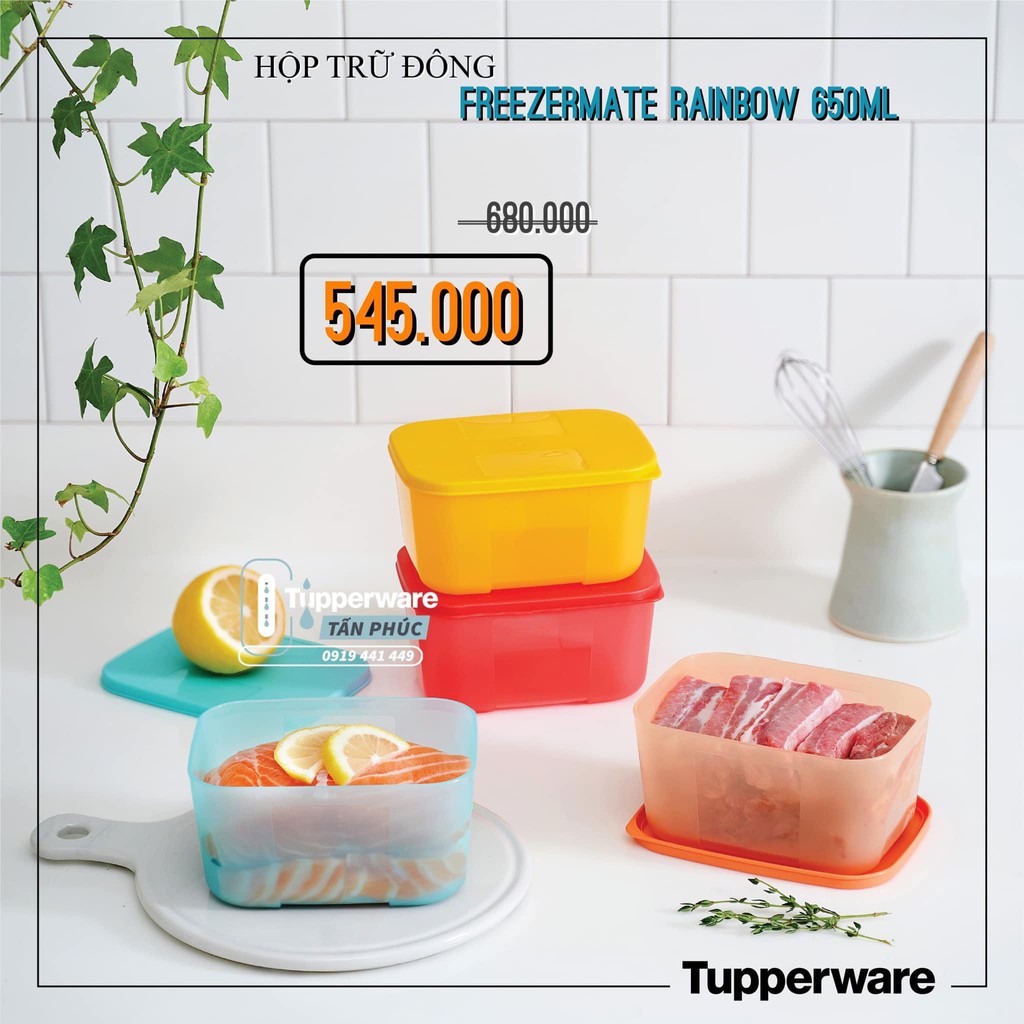 Tupperware bộ hộp bảo quản trữ đông rainbow 650ml màu