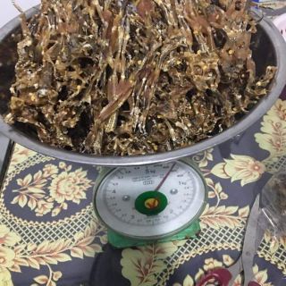 Khô nhái loại đặc biệt