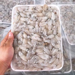 1kg - mực sữa trứng baby