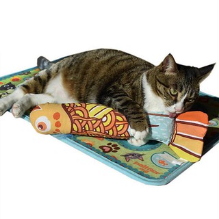 Cá catnip nhiều kích cỡ