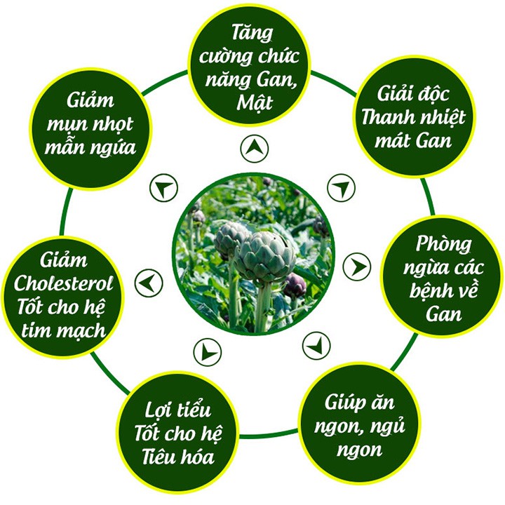 Cao Atiso Mềm 200gr -[Ngọc Duy]