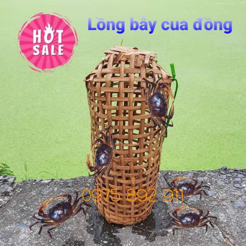 5 cái Lồng bẫy cua đồng